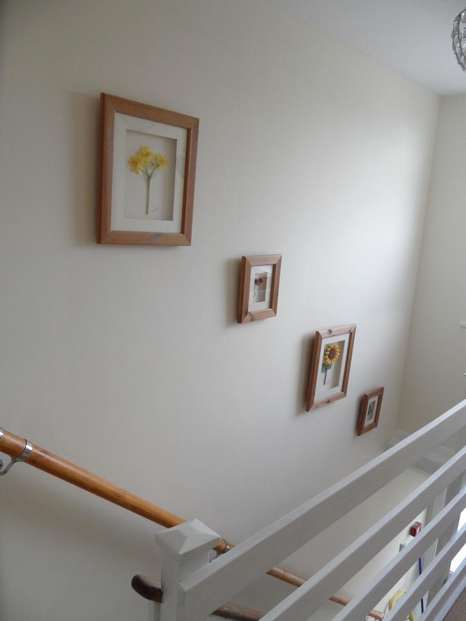 Monterey Pines Bed & Breakfast Хелстън Екстериор снимка